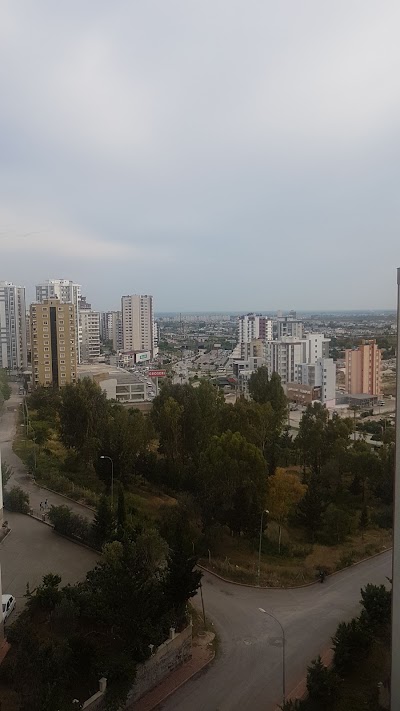 park