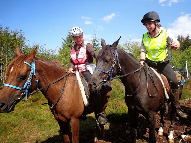 Abriachan Cafe Campsite Wester Laide