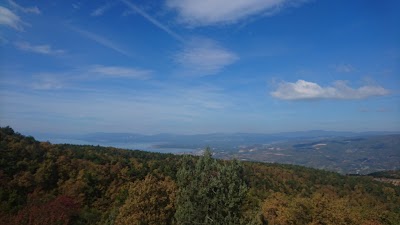 Photos of Salici House