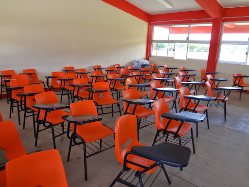 COBAO PL 61 SAN BARTOLO