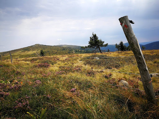 Photo de GITE DE LAPIERRE maison de vacances en Auvergne dans le Livradois Forez pour 5/6 personnes à Marsac-en-Livradois (63940)