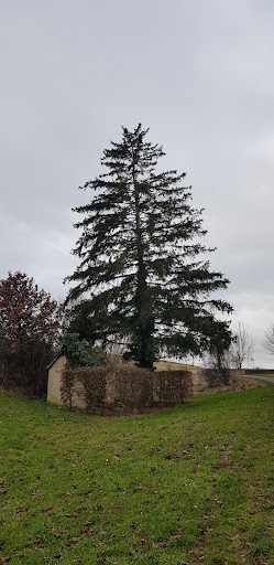 Fürfelder Wetterstation