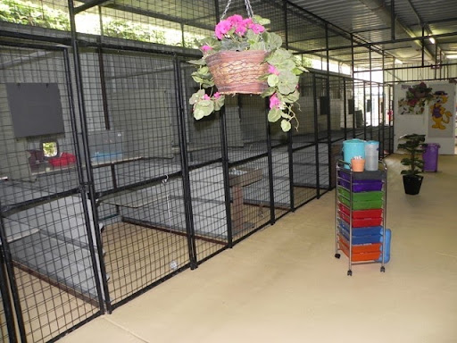 Park Ridge Cat Resort - Thumbnail