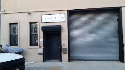 City Aquarium LLC