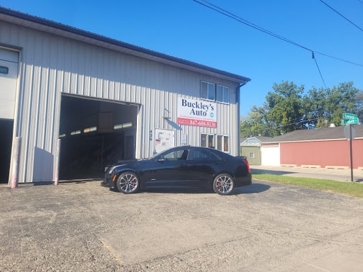 Buckley Auto - Visual