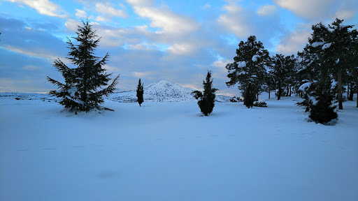 El Pinarillo Park