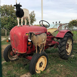 Photo n°3 de Le marché bio à Lierville (Magasin d'alimentation bio)