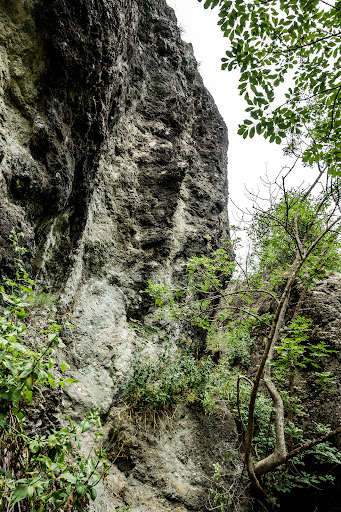 Ofiolite della val di Sasso Gallery - Italy