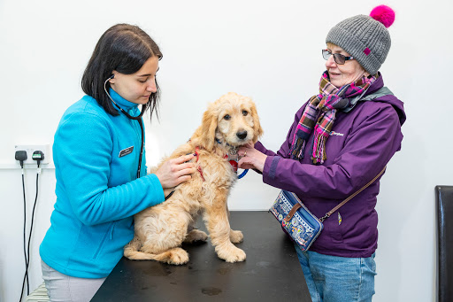 Fair City Veterinary Group Gallery - United Kingdom