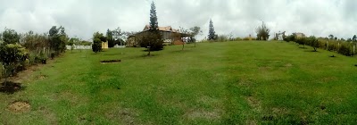 Photos of Mata De Pl&aacute;tano Restaurante