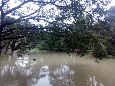 Photos of Kajirhaat Bazar