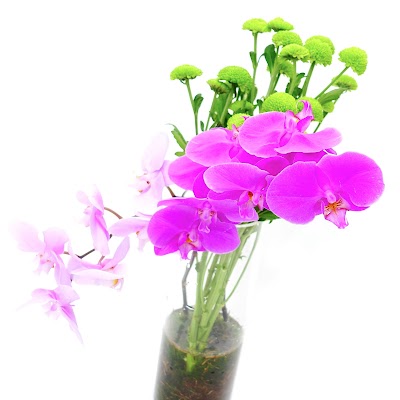 Photos of FLORISTRY