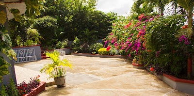 Photos of Classique International in Dominica