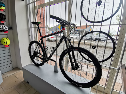 FM BIKE DI FAVALORO MICHELE - Thumbnail