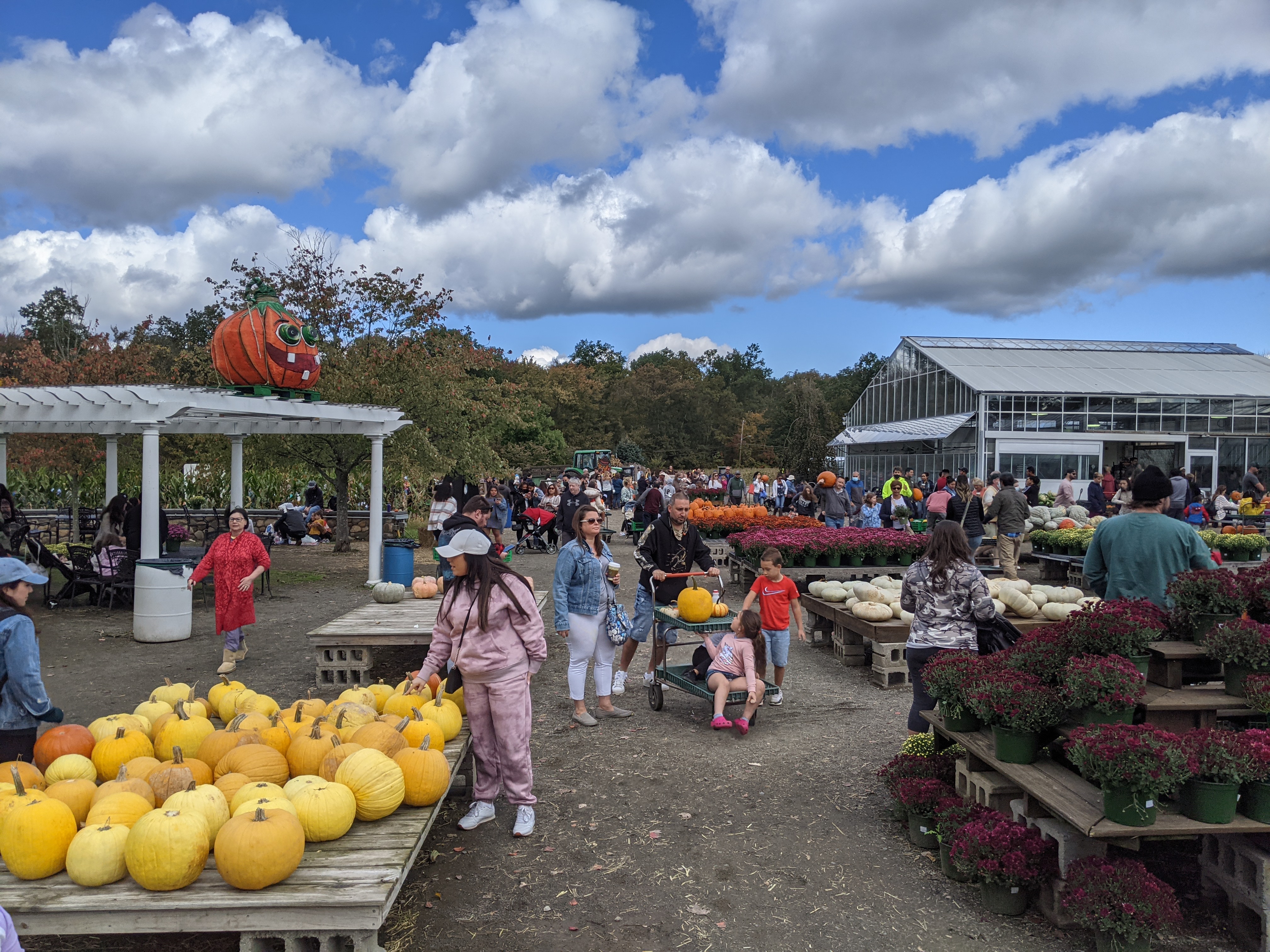 Secor Farms