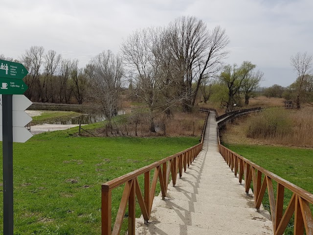 Kopački Rit Nature Park