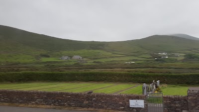 Photos of Kilmalkedar Church