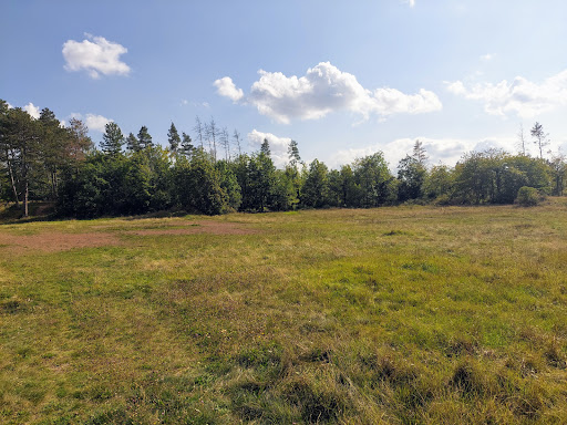 Tummelplatz - Thumbnail