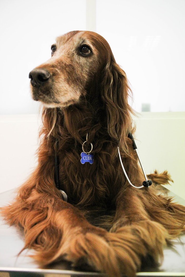 Clinica Veterinaria Pel i Plomes