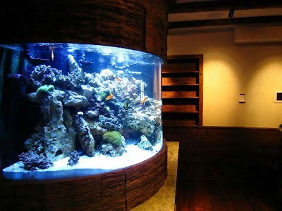 Crystal Clear Aquariums