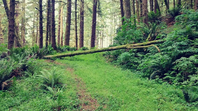 Ecola State Park