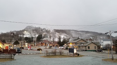 ski-snowboard-school
