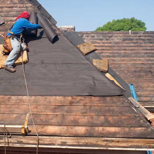 The Roof Brothers - Lake Ariel - Thumbnail