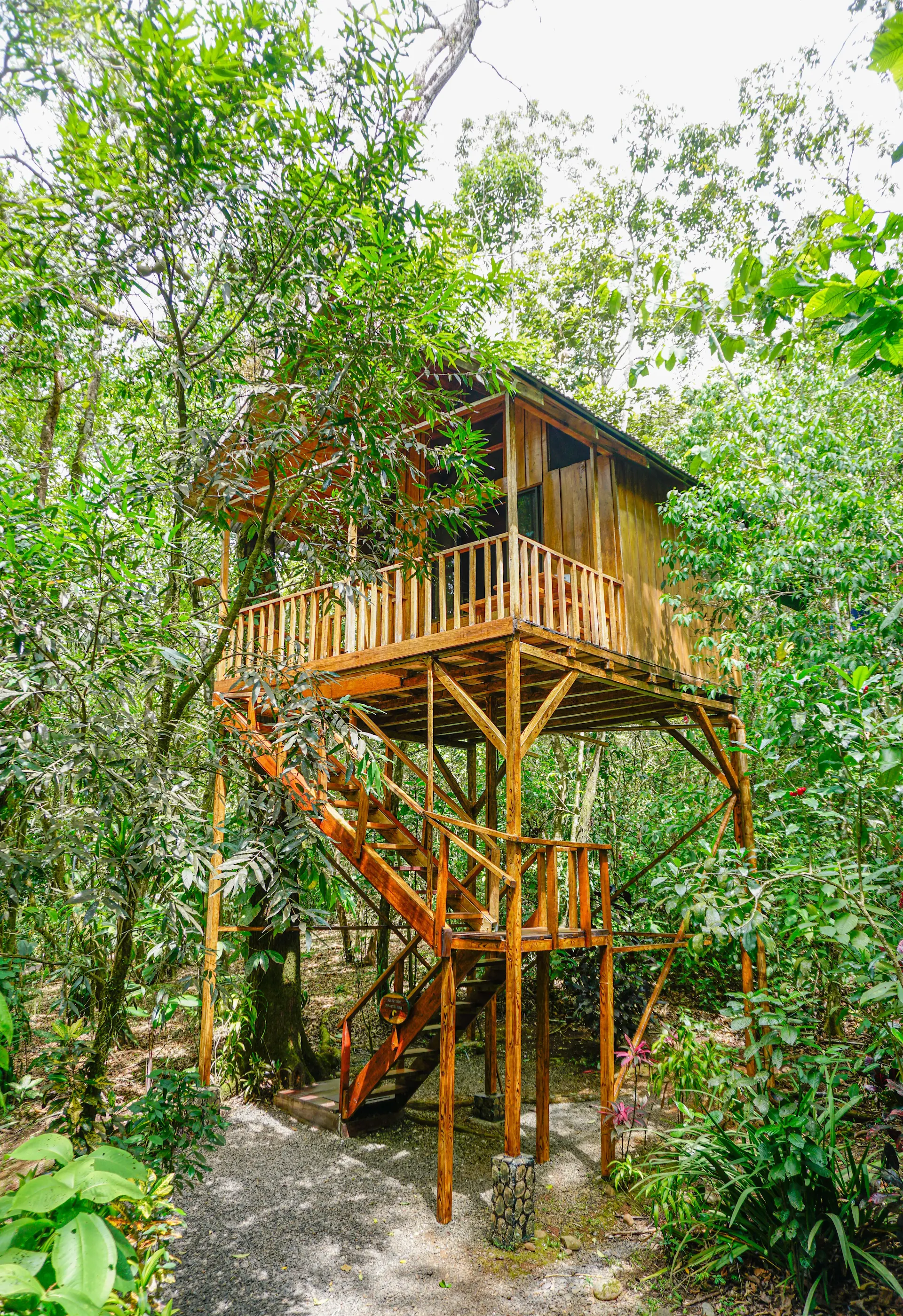 Tree Houses Hotel Costa Rica