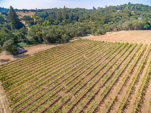 Mount Brow Vineyard - Thumbnail