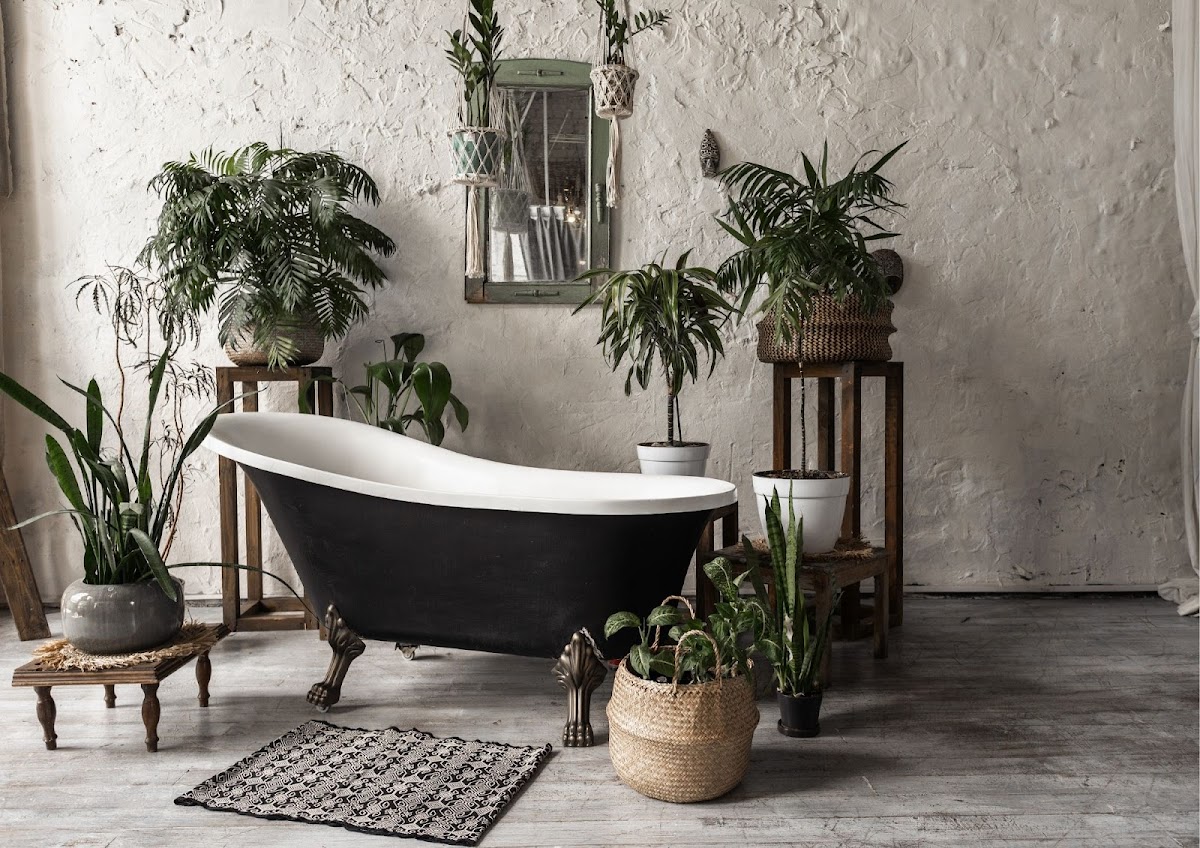 Lesley Greaves Estate & Letting Agents