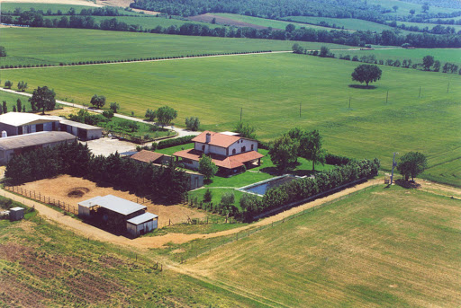 Tuscany Farm Holiday Grosseto - Oasi del Pianettino