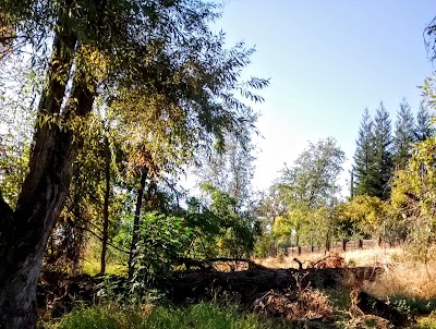 Pilgrim Congregational Church, UCC Redding