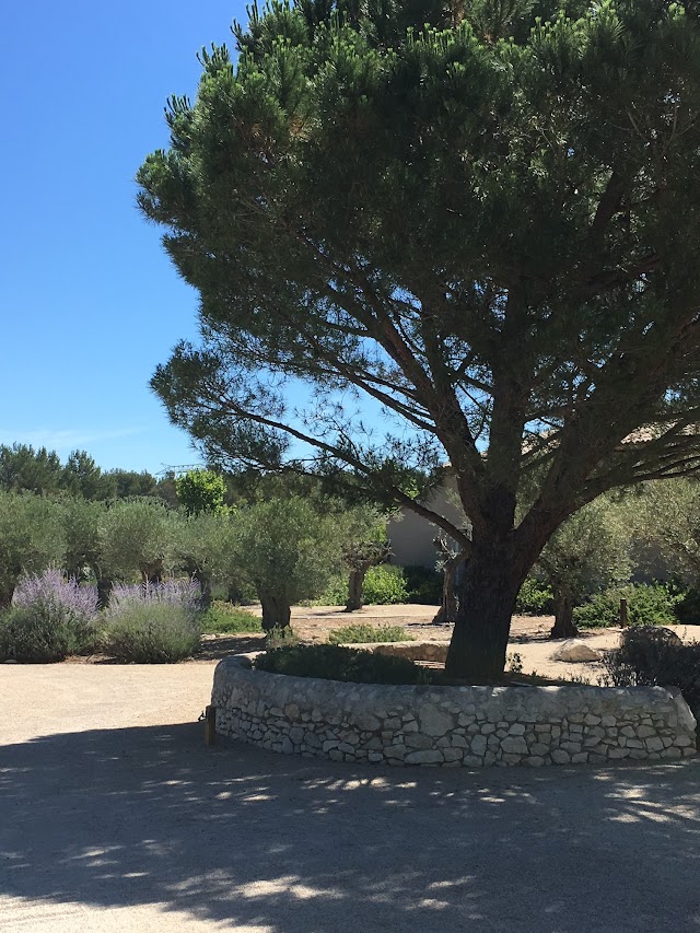 Place around image