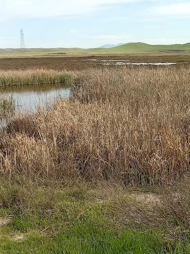 Hill Sough Wildlife Area - Thumbnail
