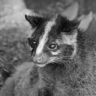 株式会社ミナト 東海支部 名古屋営業所