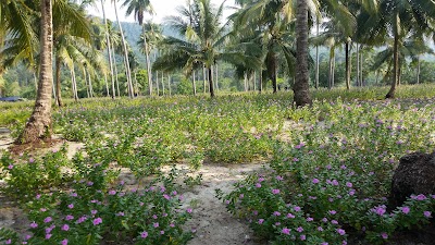 Photos of Kaoh Bek Chheb