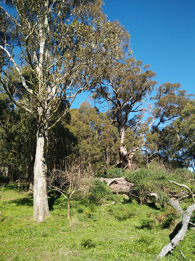 Mansfield Reserve - Thumbnail