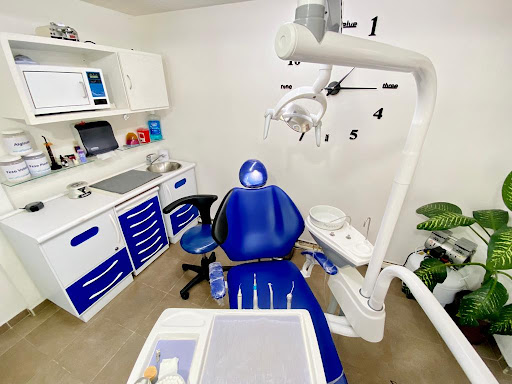 Priodent - Clínica Dental Gallery - Mexico