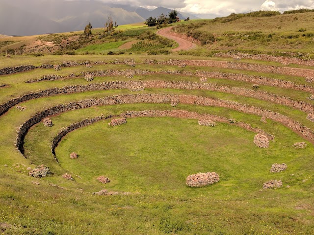 Moray