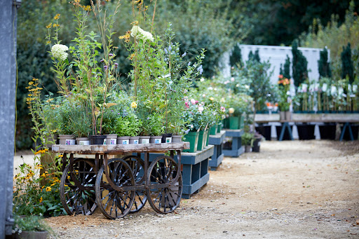 Exedra Nursery - Thumbnail