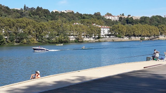 Île Barbe