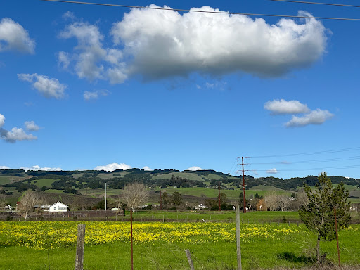 Petaluma Blvd & Corona Rd - Thumbnail