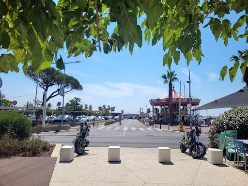 Parking Central - Thumbnail