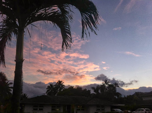Donna's Detours - Private Tours of Oahu Off the Beaten Path Gallery - United States