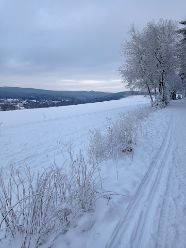 Ruschelhang am Spiegelwald