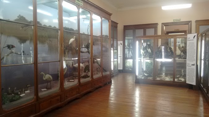 Museo de Zoología, Author: Fernanda Gatti