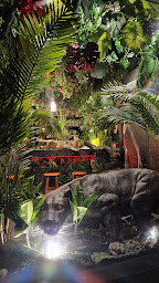 Photo n°38 de Le jungle bar à Calais (Bar)