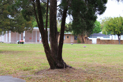 Showmans Rest Cemetery - Thumbnail