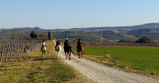 DELLE ROSE EQUESTRIAN ACADEMY Gallery - Italy