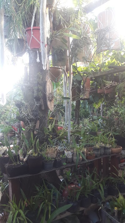 Photos of Vivero Coleccion De Orquideas Oskar